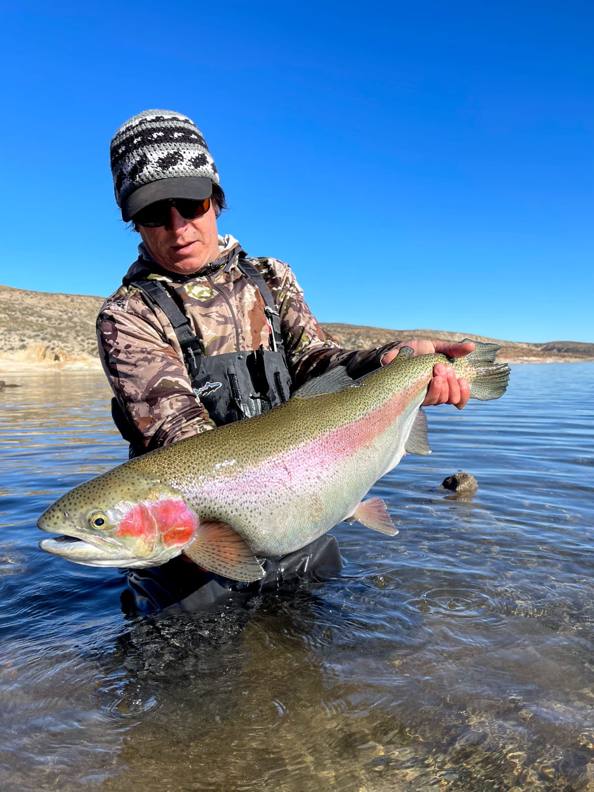 e0d021ec-3f4e-4678-9cd9-e2bba77fa24c